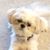 Theresa Byrne Dinman's profile image