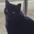Judy Mauldin Linville's profile image