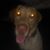 Sam Johnson's profile image