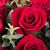 Paloma Garcia's profile image