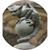 Victoria Sillygoyle Grossman's profile image