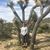 Robyn Hilden's profile image