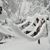 Rhonda Noble Worley's profile image