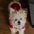 Sherry Vick's profile image