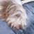 Arden Landry's profile image