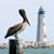 Linda Sackett's profile image