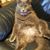 Susan Jones-Hawkins's profile image