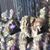 Ofiice B Beres's profile image