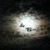 Mark Brosius's profile image