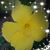 Debbie Williard's profile image