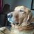 Neil Fleming's profile image