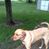 Heike Dumond's profile image