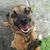 Shannon Marie Arriaga's profile image