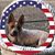 Cheri Miller Farmer's profile image