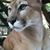 Raul Alfonso's profile image
