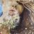 Diana Taylor's profile image