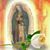 Ade Cortes Melgarejo's profile image