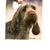 Kay Fritts's profile image