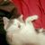 Jennifer Stoufer's profile image