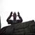 Ulf Westerlund's profile image