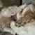 Deb Vaughn's profile image