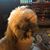 Paul E. Loomis's profile image