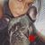 Ale Zoe Max's profile image