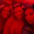 Andrea Bishop Phillips's profile image