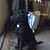 Tony Van Laanen's profile image