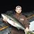 Brett Martin Randall's profile image