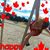 Erin Monteleone's profile image