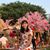 Thuy Le's profile image