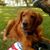 Shirley Prosek's profile image