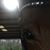 Kim Gorham's profile image