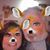Jacqi Bjordahl's profile image