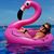 Julie Dragich's profile image