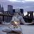Julie Addison Campbell's profile image