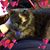 Sandi Hawkins's profile image