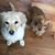 Robbyn Ewert's profile image