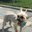 L:a Bruket's profile image