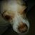 Vonni Rubin's profile image