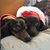 Donna Wilbanks Chelette's profile image