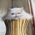 Carmel Ann Verrastro Biko's profile image