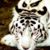 Debbie Roberts's profile image