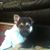 Doug Schelling's profile image