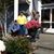 Linda Raimo's profile image