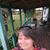 Lisa Barnstein-Fuller's profile image