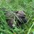 Julie Kelley-Malberg's profile image