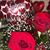 Yolanda Casas's profile image