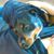 Michael Sherba's profile image